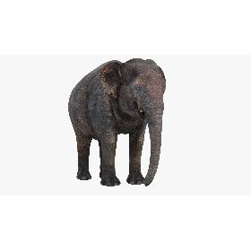3D model Asian Elephant